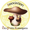 Logo of the association Association des p'tits korrigans